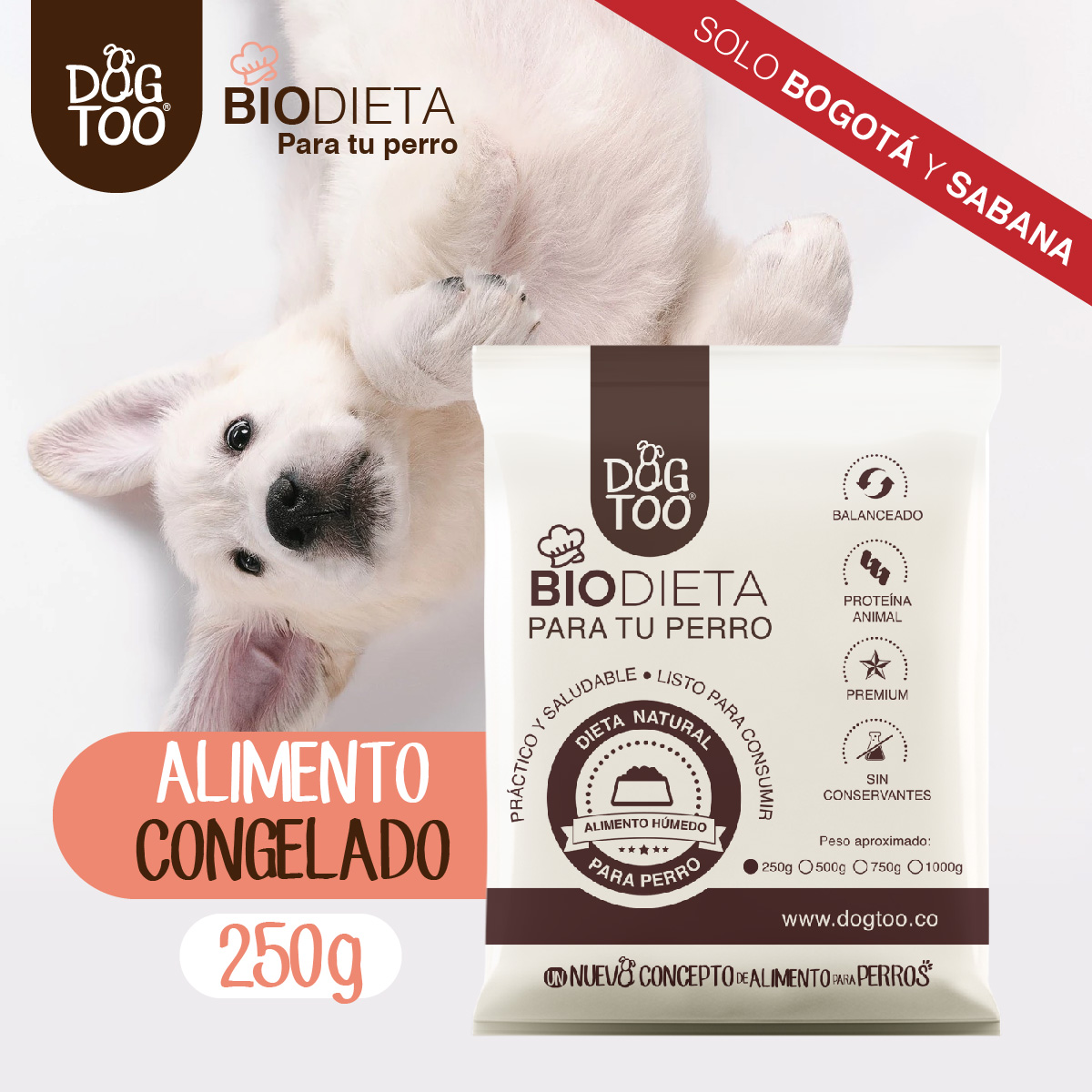 comida natural para perros y gatos