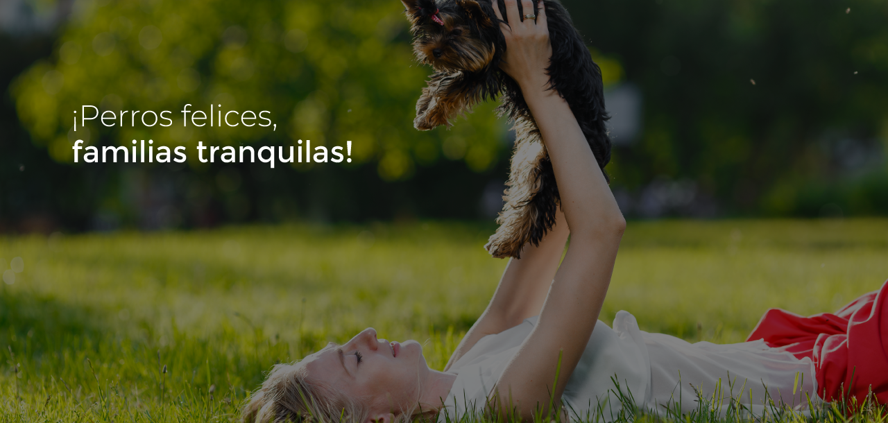 distribuidor de productos para mascotas