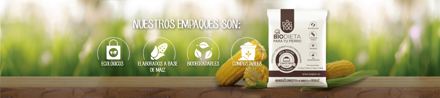 alimentacion para perro
