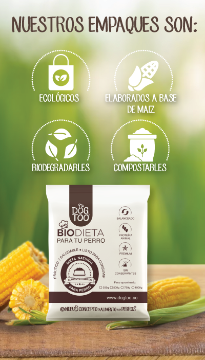 alimentacion para perro