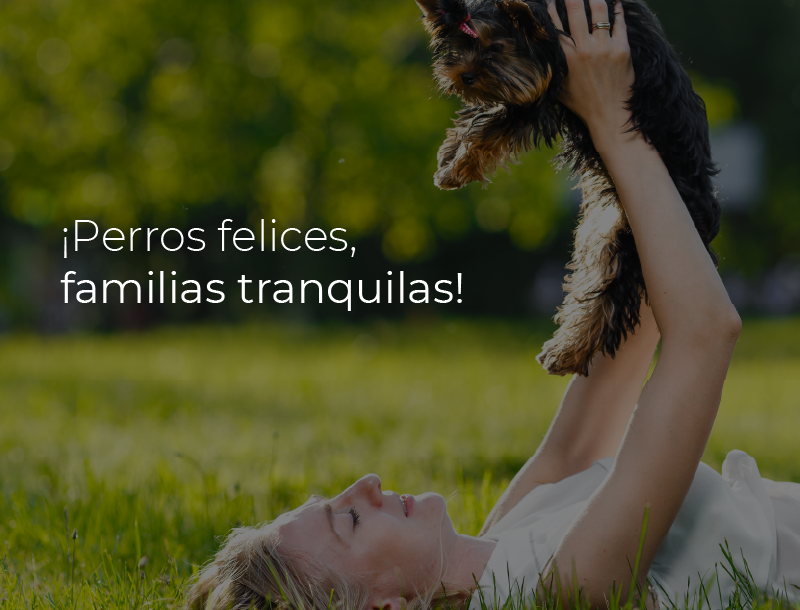 distribuidor de productos para mascotas