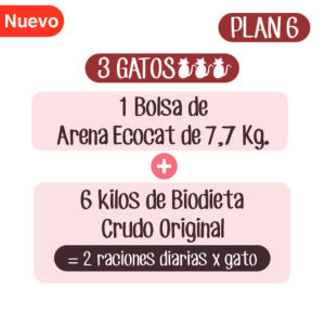 plan alimenticio para gatos