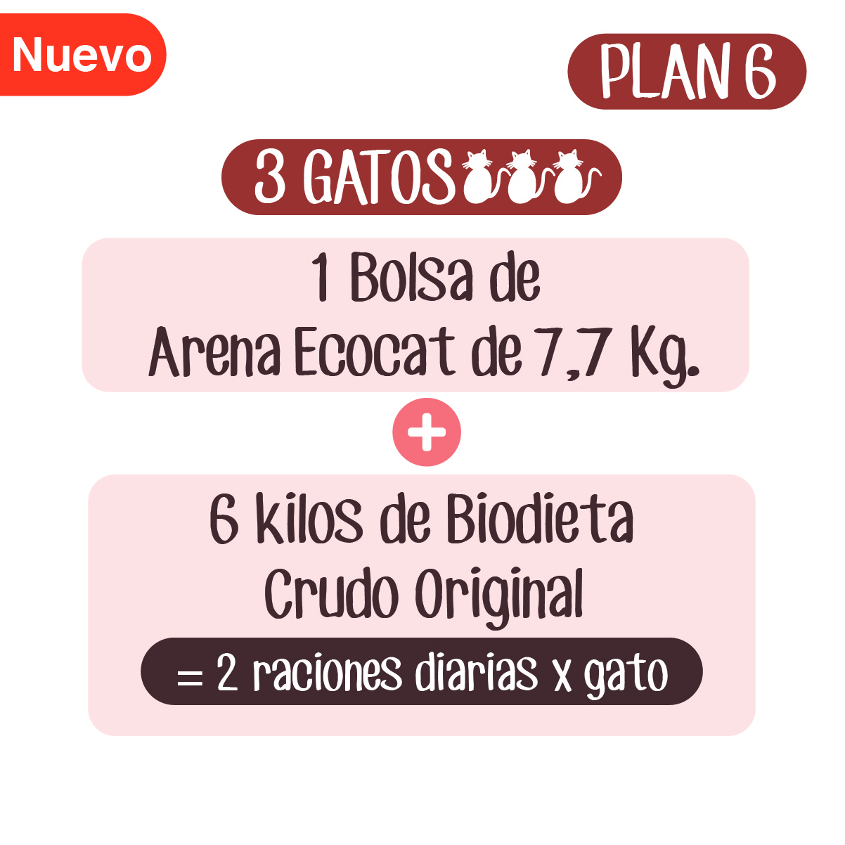 plan alimenticio para gatos