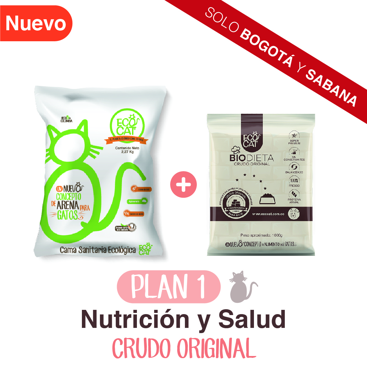 arena para gatos y alimento